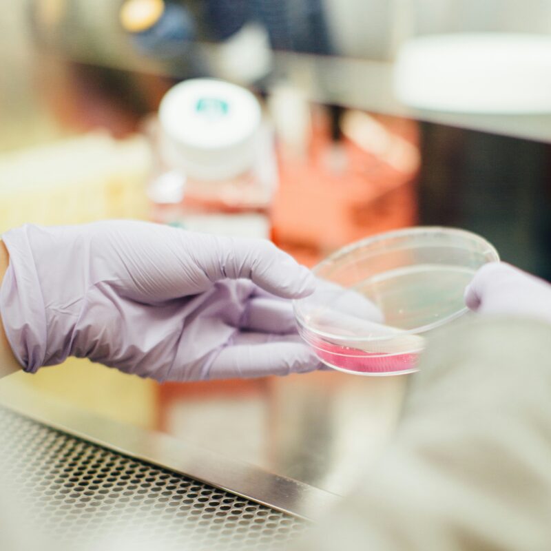 Une personne tenant une substance dans un laboratoire, avec des équipements scientifiques en arrière-plan, prête à effectuer des analyses ou des tests.