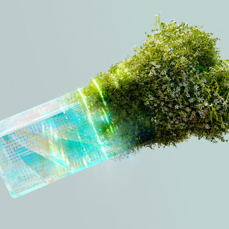 GLOBAL BIOENERGIES recherche repreneur - technologie de conversion renouvelable pour cosmétiques et carburants durables