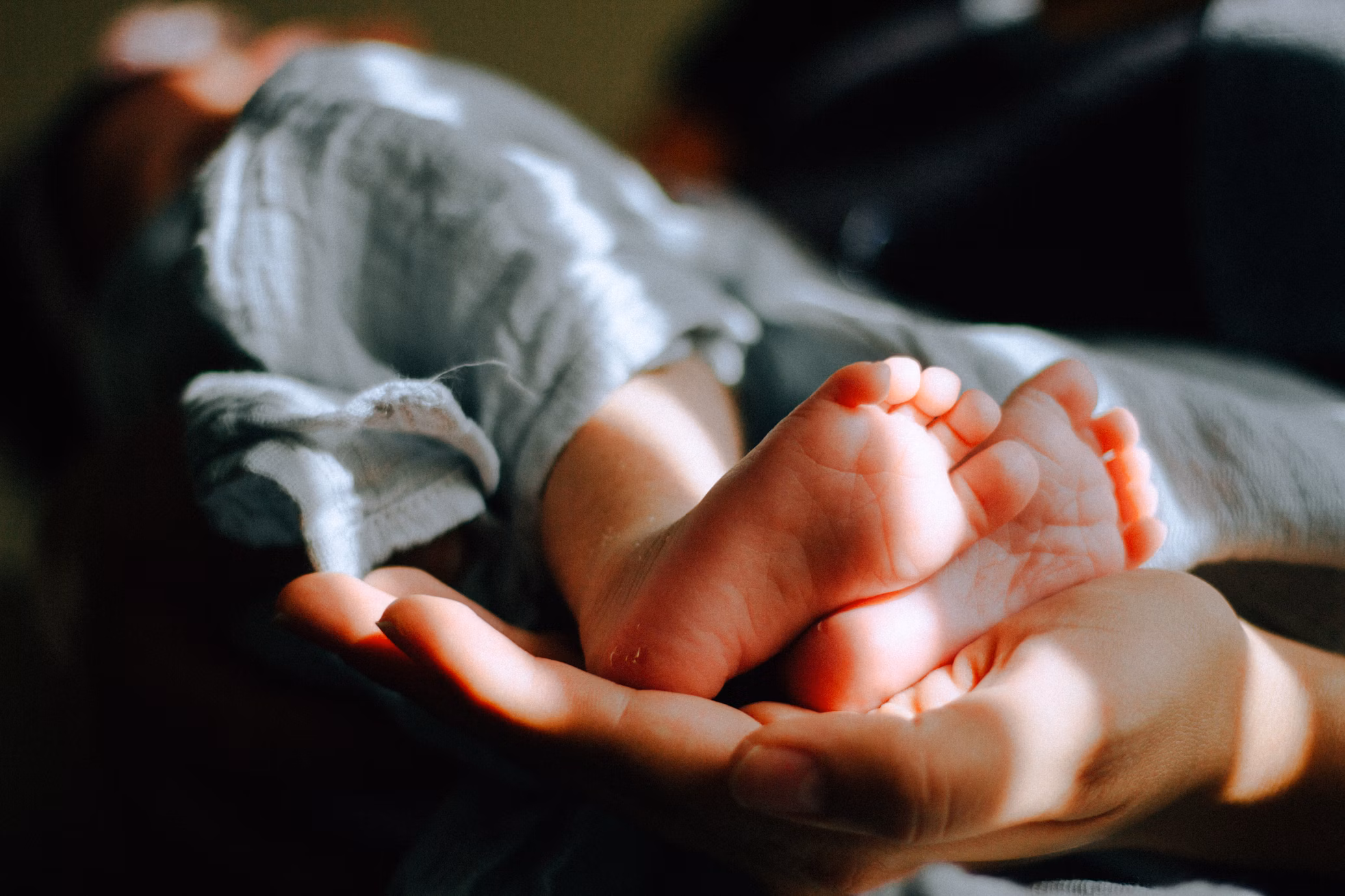 NANOVARE recherche investisseur repreneur - dispositifs d’analyse de l’infertilité masculine