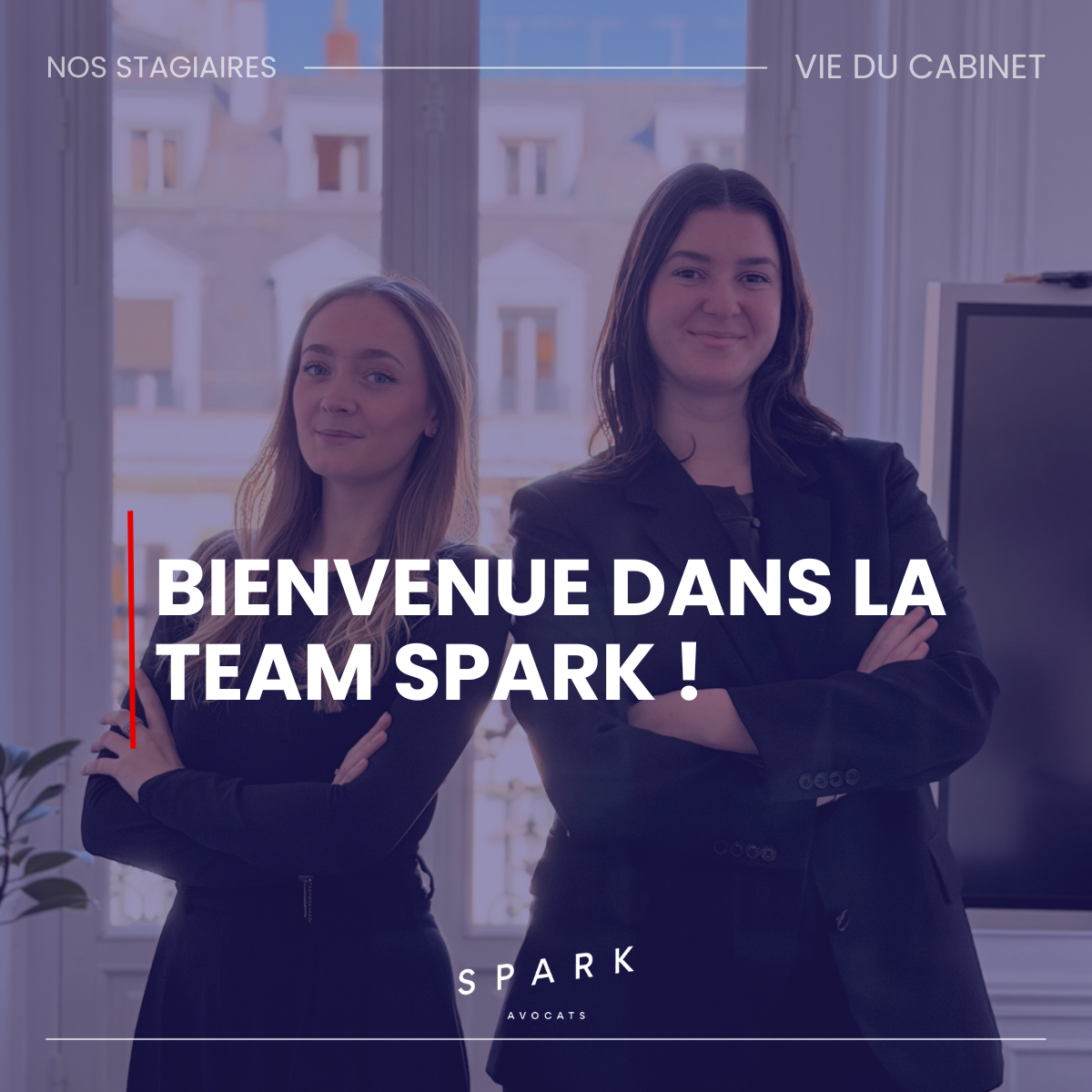 stage M&A SPARK AVOCATS